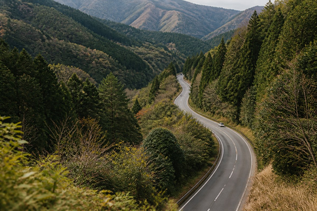 山あいを緩やかにカーブしながら続く一般道を高い位置から見た風景。小さく車が1台走っている